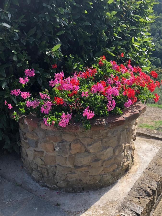 Agriturismo La Casella Castelfranco di Sopra Buitenkant foto