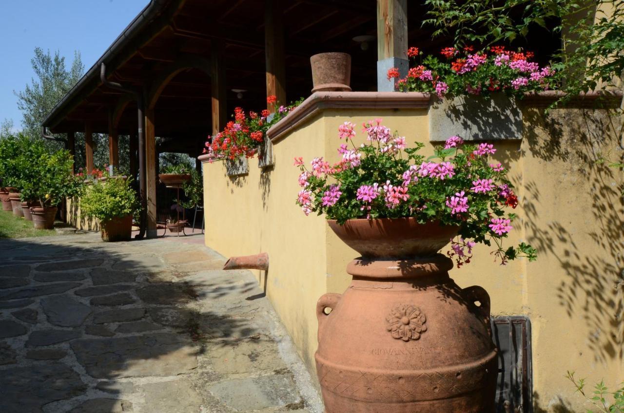 Agriturismo La Casella Castelfranco di Sopra Buitenkant foto